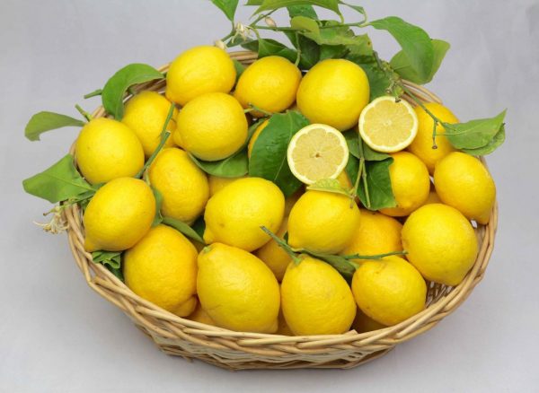 Zitronenbox