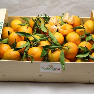 blatt-clementinen