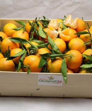 blatt-clementinen