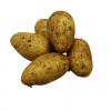kartoffeln zypern, Frühkartoffeln