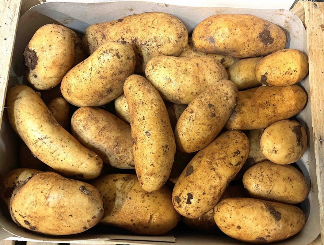 Kartoffeln Zypern Früh Kartoffeln 6 Kg – Bild 2