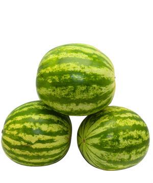 wassermelonen kernlos