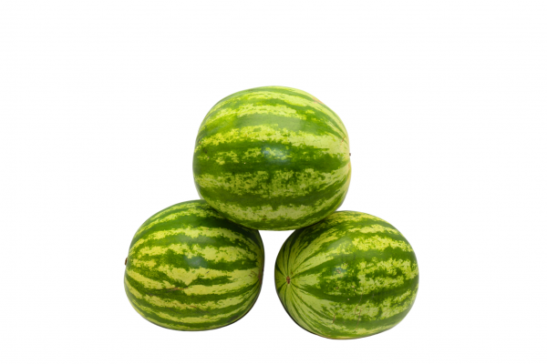 wassermelonen kernlos